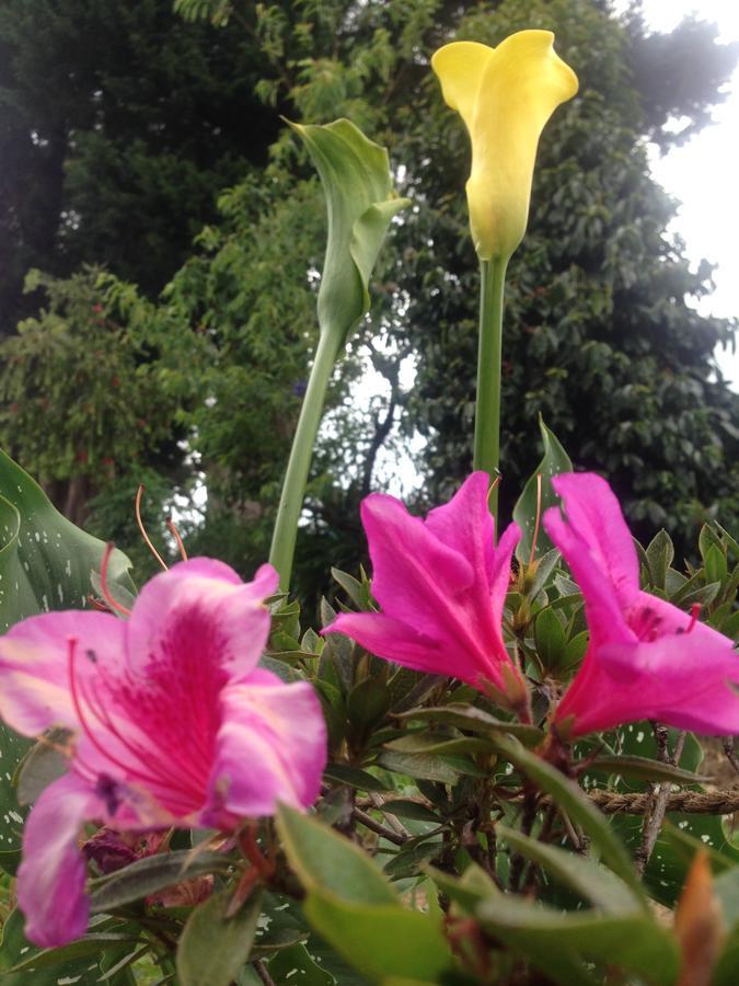 The Galways Edge * Nuwara Eliya